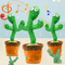 Dancing Cactus - smartishTrend