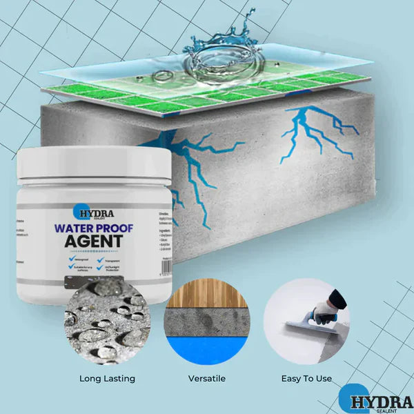 Hydra Waterproofing Solution Instant Leak Repair & Sealant (300gm)