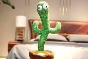 Dancing Cactus - smartishTrend